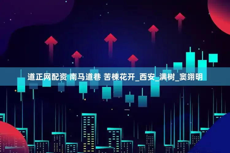 道正网配资 南马道巷 苦楝花开_西安_满树_窦翊明