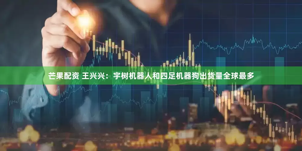 芒果配资 王兴兴：宇树机器人和四足机器狗出货量全球最多