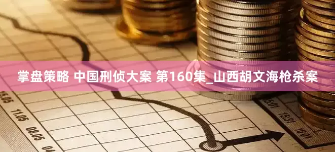 掌盘策略 中国刑侦大案 第160集_山西胡文海枪杀案