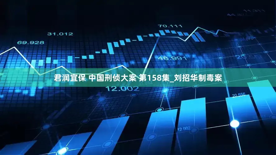 君润宜保 中国刑侦大案 第158集_刘招华制毒案