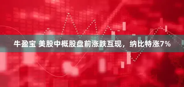 牛盈宝 美股中概股盘前涨跌互现，纳比特涨7%