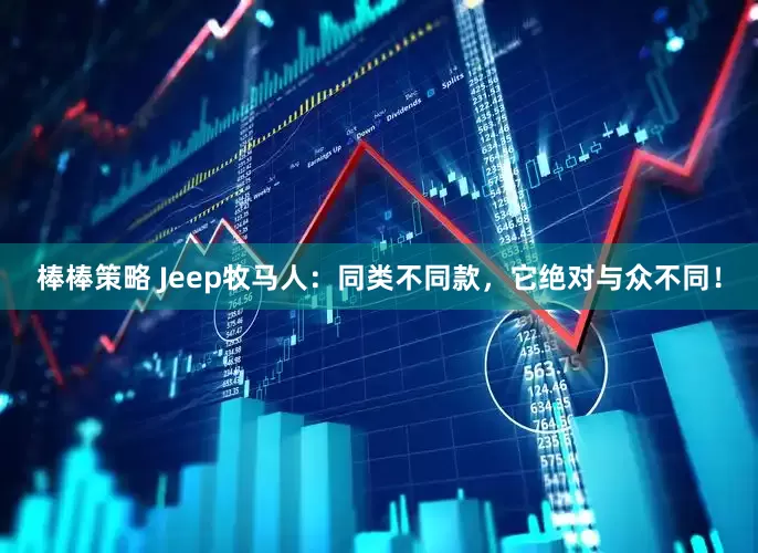 棒棒策略 Jeep牧马人：同类不同款，它绝对与众不同！
