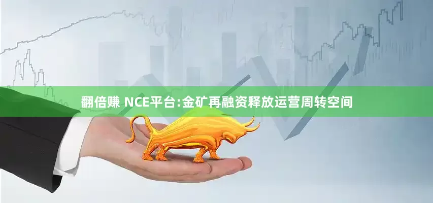 翻倍赚 NCE平台:金矿再融资释放运营周转空间